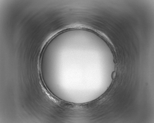 X0000080150839200612081050