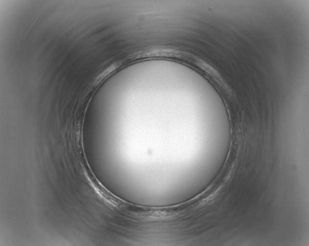 X0000080150841200612081050