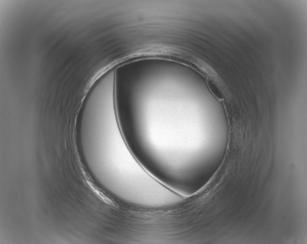 X0000080150842200612081050