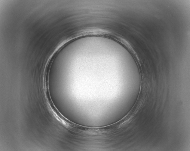X0000080150843200612081050