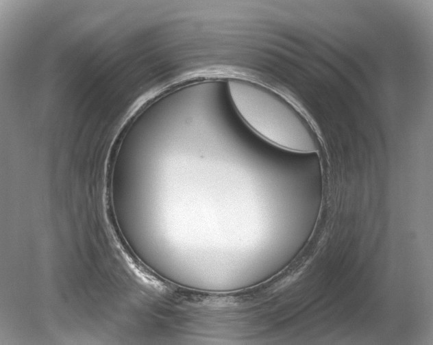 X0000080150845200612081050
