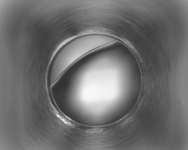 X0000080150846200612081050