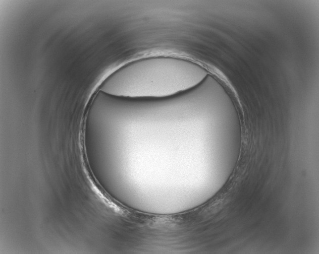X0000080150847200612081050