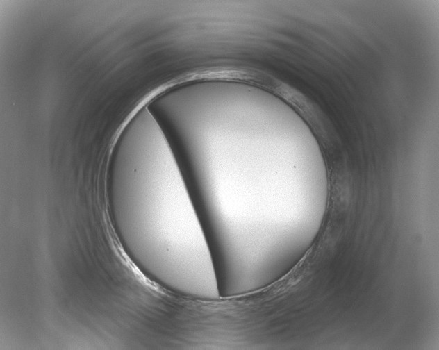 X0000080150852200612081050