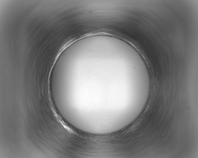X0000080150858200612081050