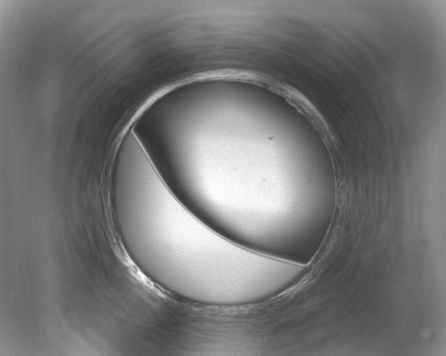 X0000080150860200612081050