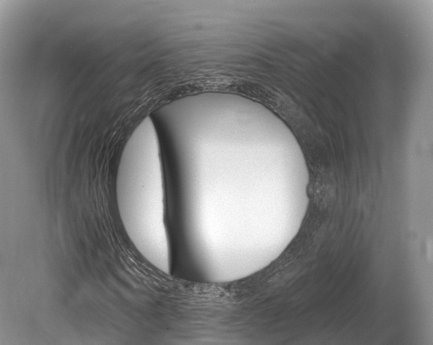 X0000080150866200612081050