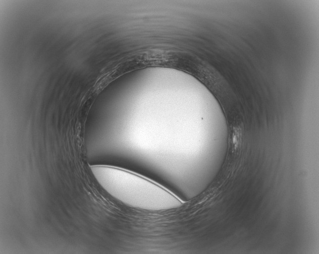 X0000080150867200612081050