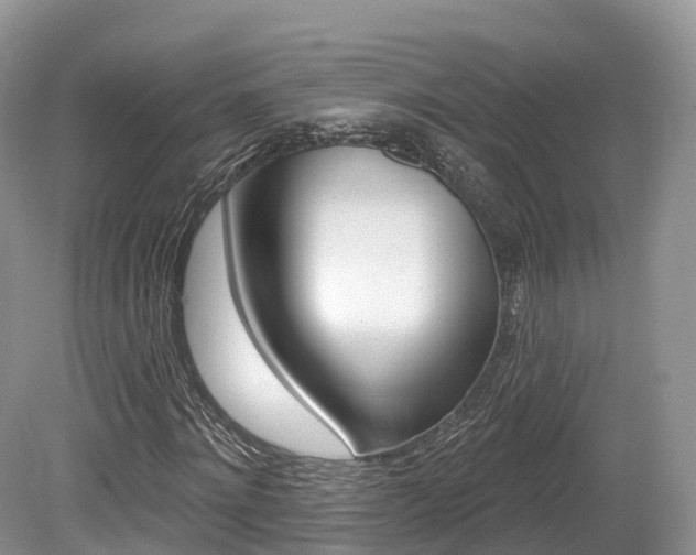 X0000080150868200612081050