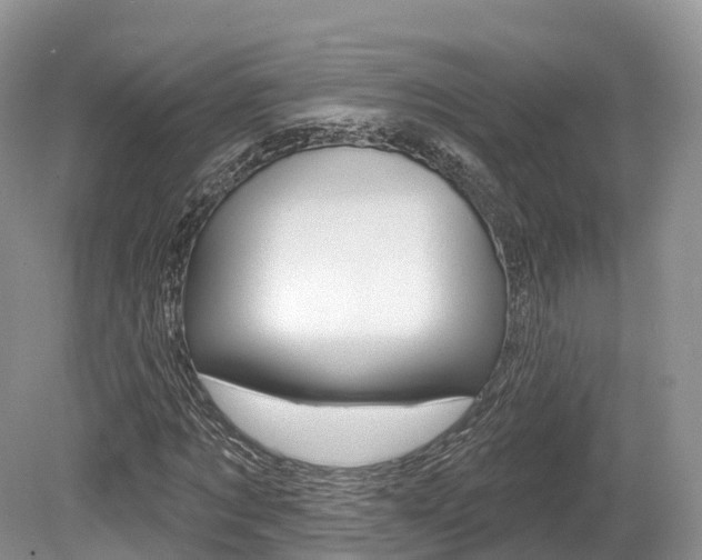 X0000080150869200612081050