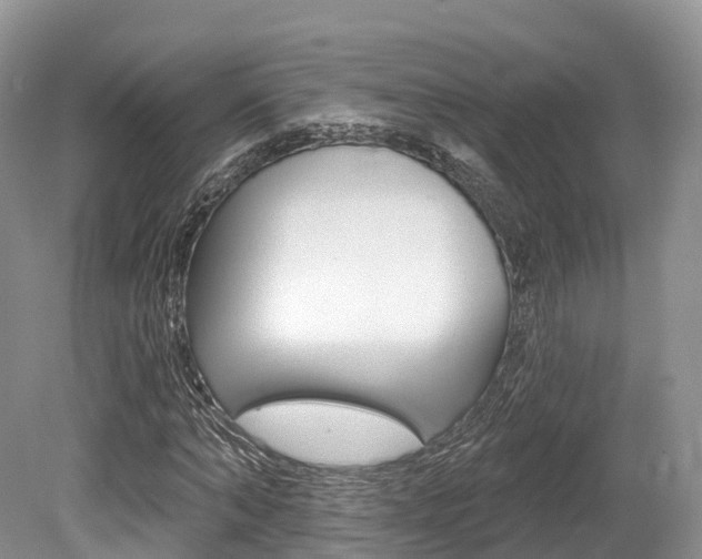 X0000080150870200612081050