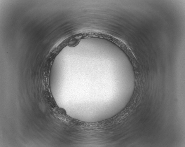 X0000080150871200612081050