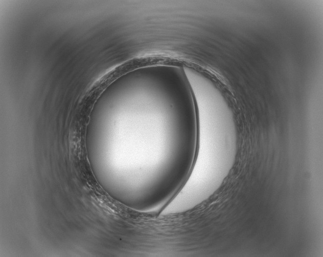 X0000080150872200612081050