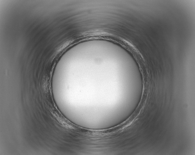 X0000080150873200612081050