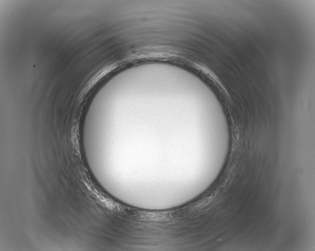X0000080150874200612081050