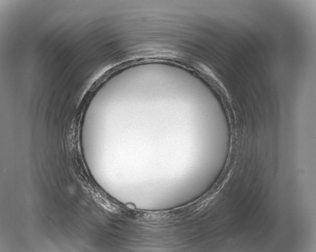 X0000080150875200612081050