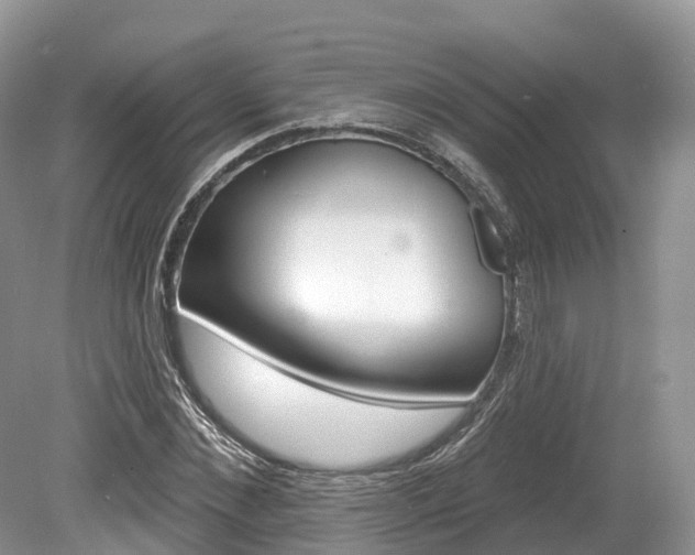 X0000080150876200612081049