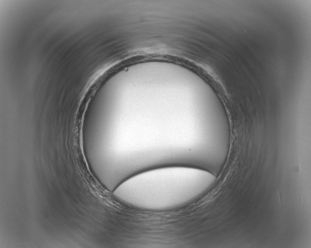X0000080150879200612081049