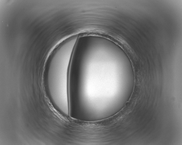 X0000080150880200612081049