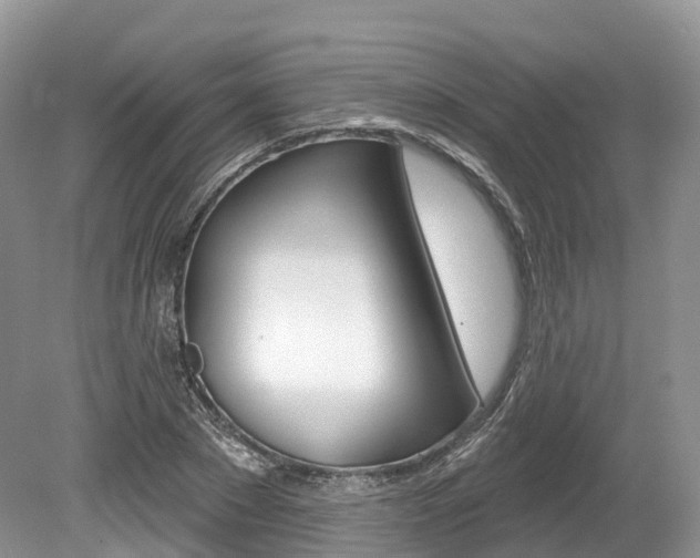 X0000080150881200612081049