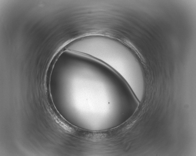 X0000080150884200612081049
