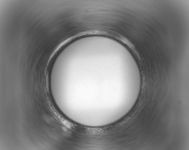 X0000080150886200612081049