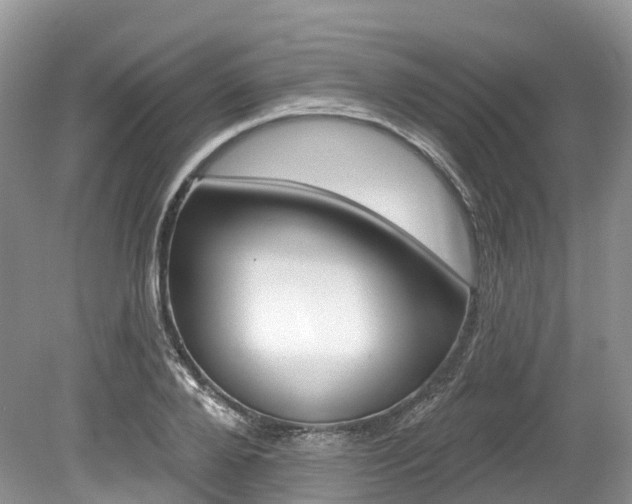 X0000080150888200612081049