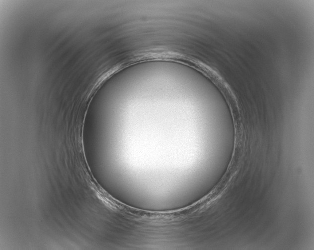 X0000080150889200612081049