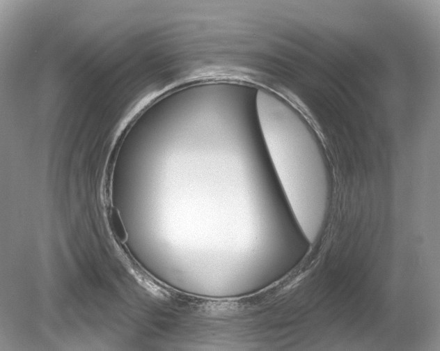 X0000080150893200612081049