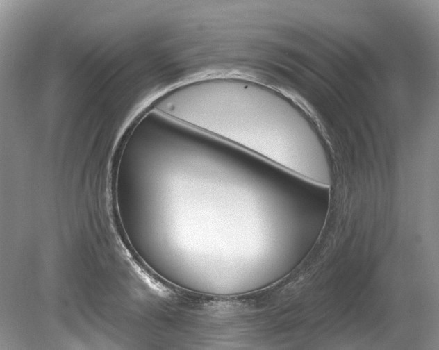 X0000080150894200612081049