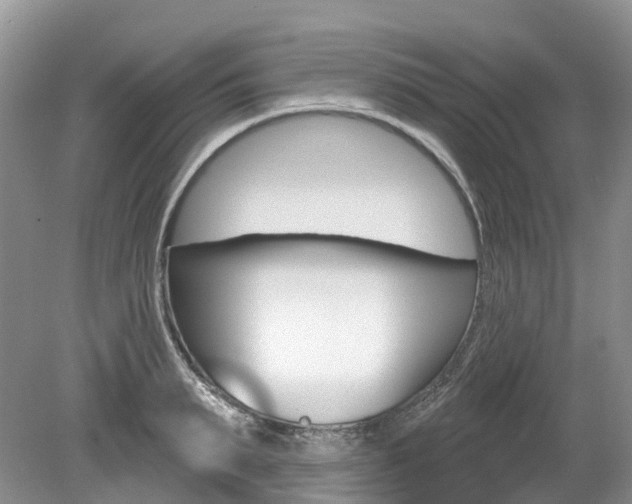 X0000080150895200612081049