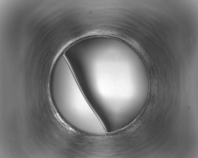 X0000080150896200612081049