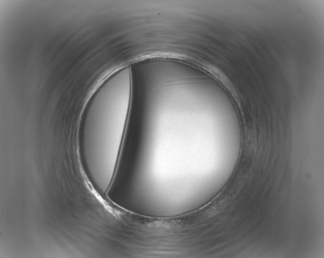 X0000080150898200612081049