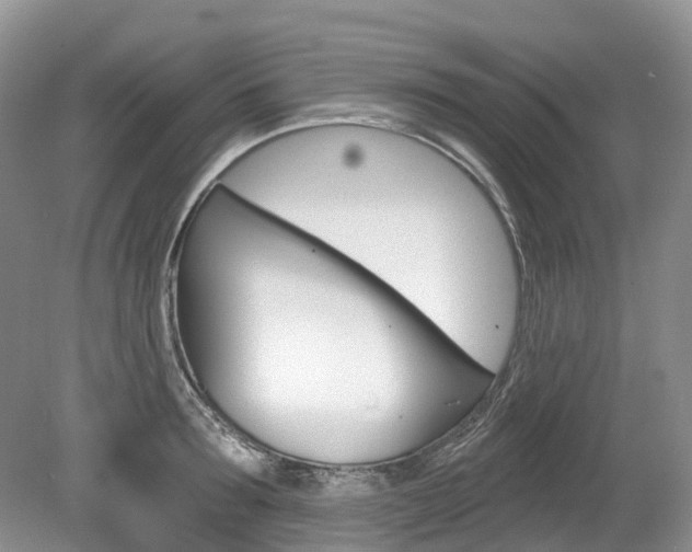 X0000080150899200612081049