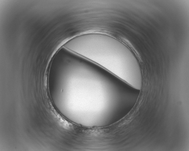 X0000080150900200612081049