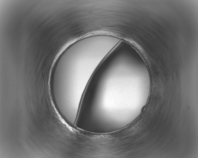 X0000080150902200612081049