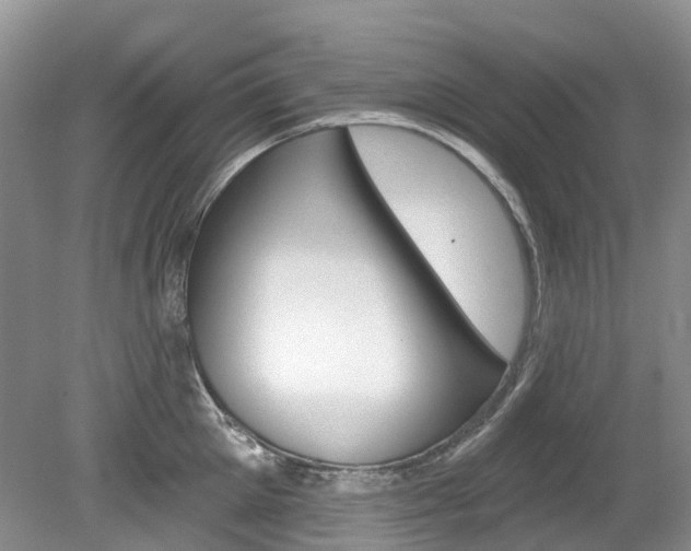X0000080150905200612081049