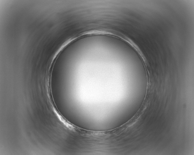 X0000080150909200612081049