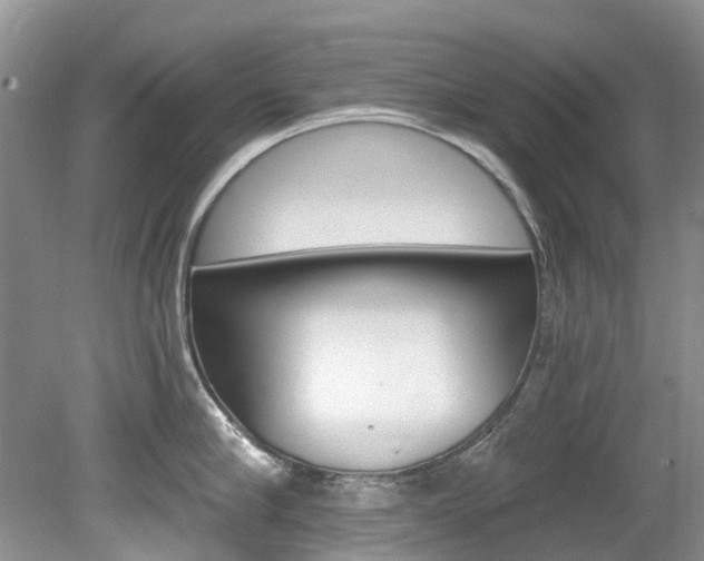 X0000080150910200612081049