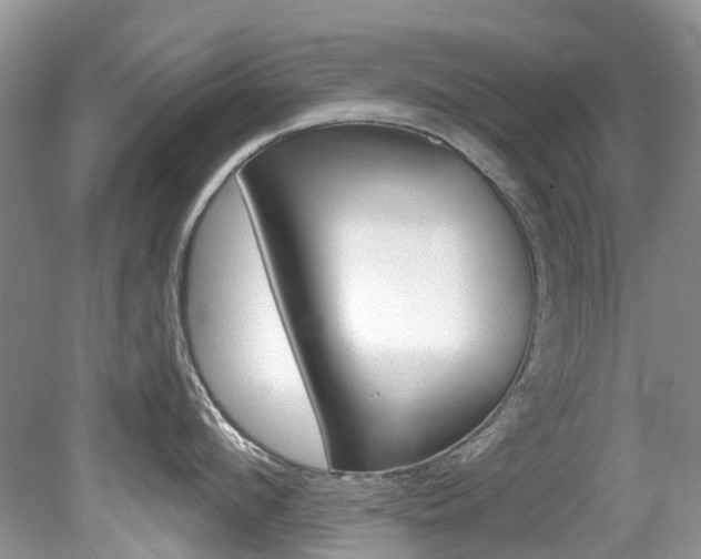 X0000080150912200612081049