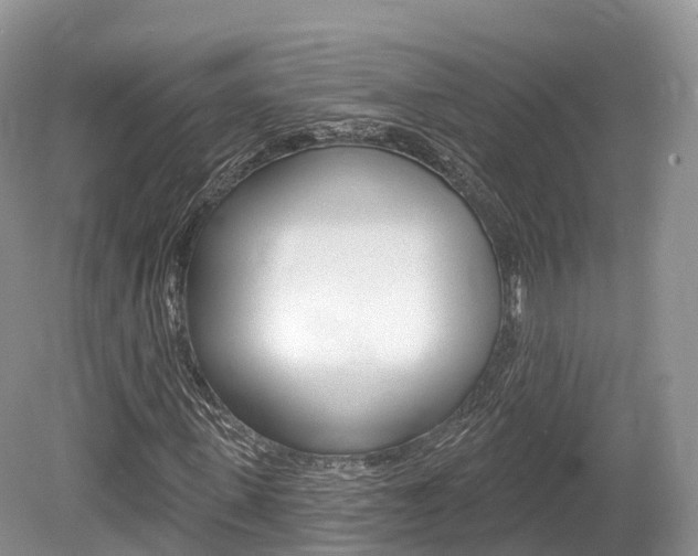 X0000080150915200612081048