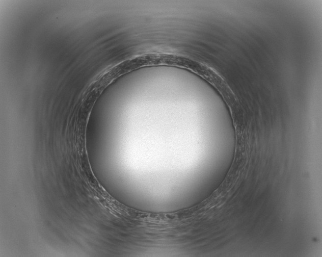 X0000080150919200612081048