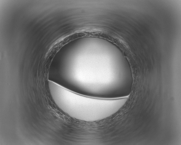 X0000080150920200612081048