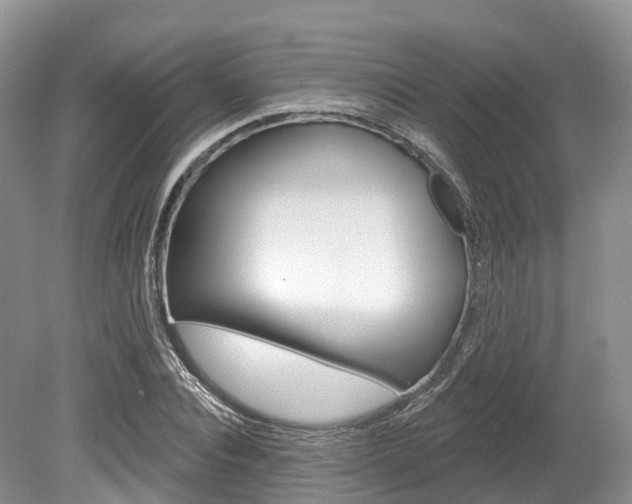 X0000080150928200612081048