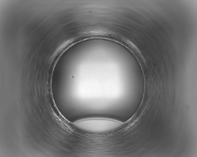 X0000080150930200612081048