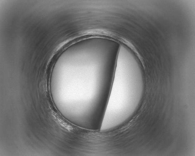 X0000080150931200612081048