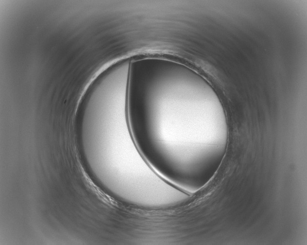X0000080150934200612081048