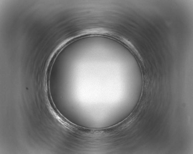 X0000080150939200612081049