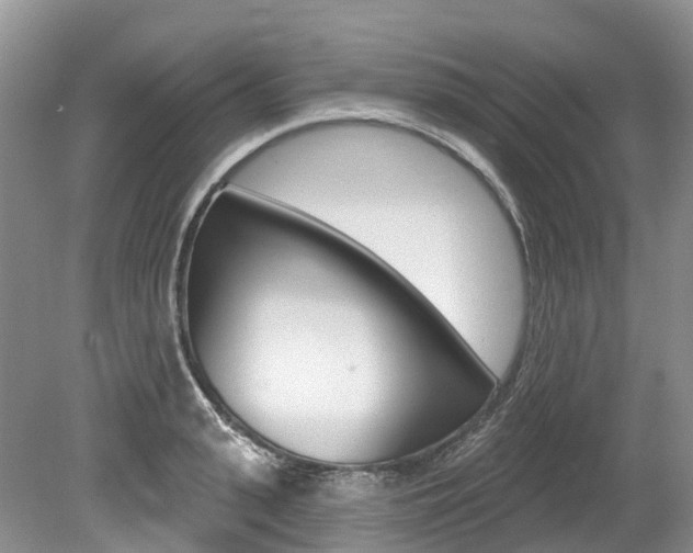 X0000080150943200612081049