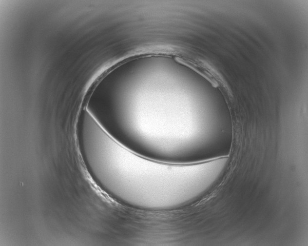 X0000080150944200612081049